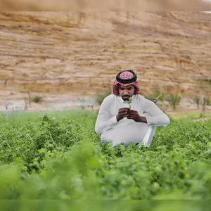 saudi-city-of-future-enlists-dutch-help-to-grow-crops-in-desert-300x300